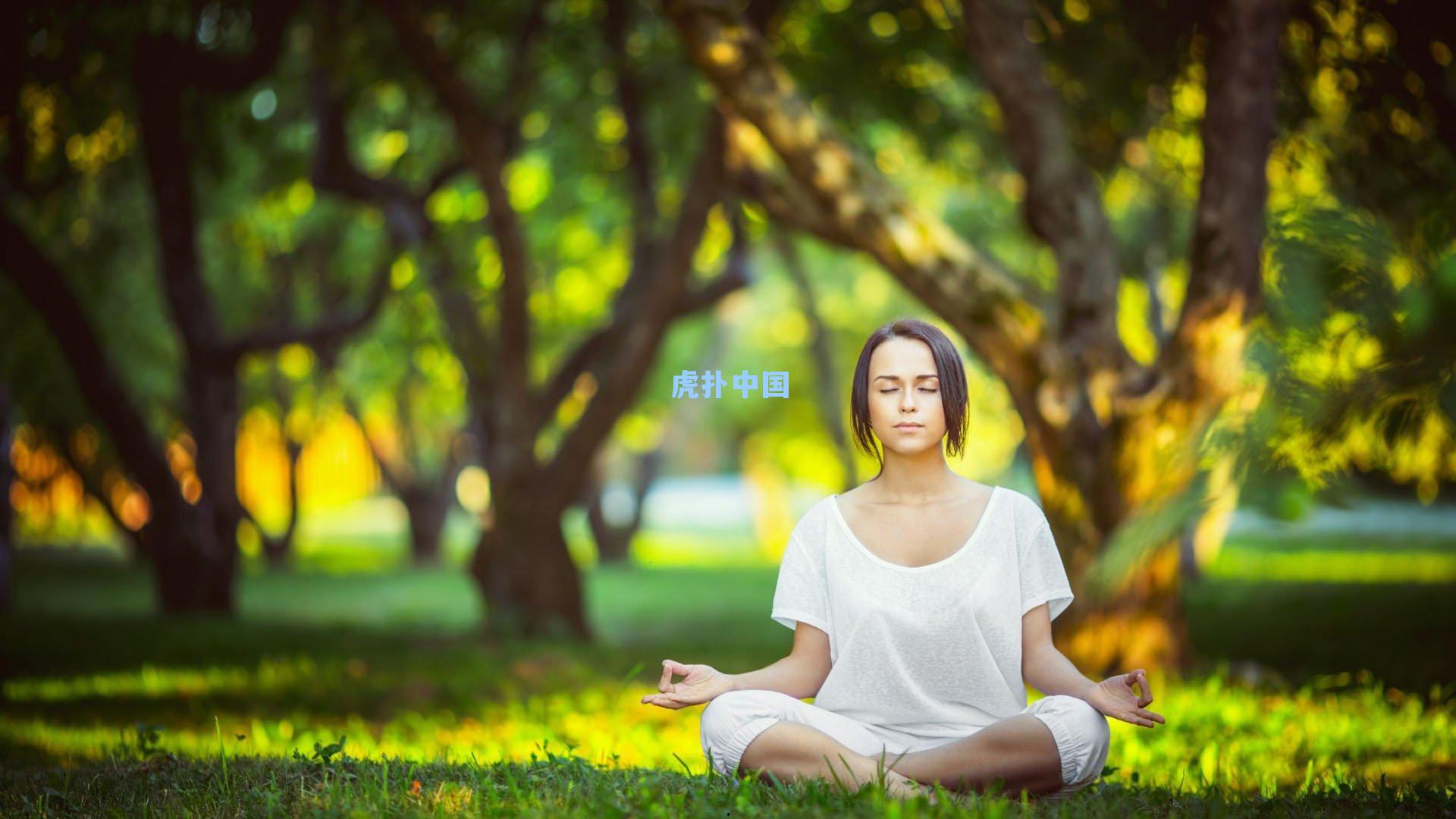 篮网球迷热议交易方案，托马斯换库明加能否点燃球队未来？